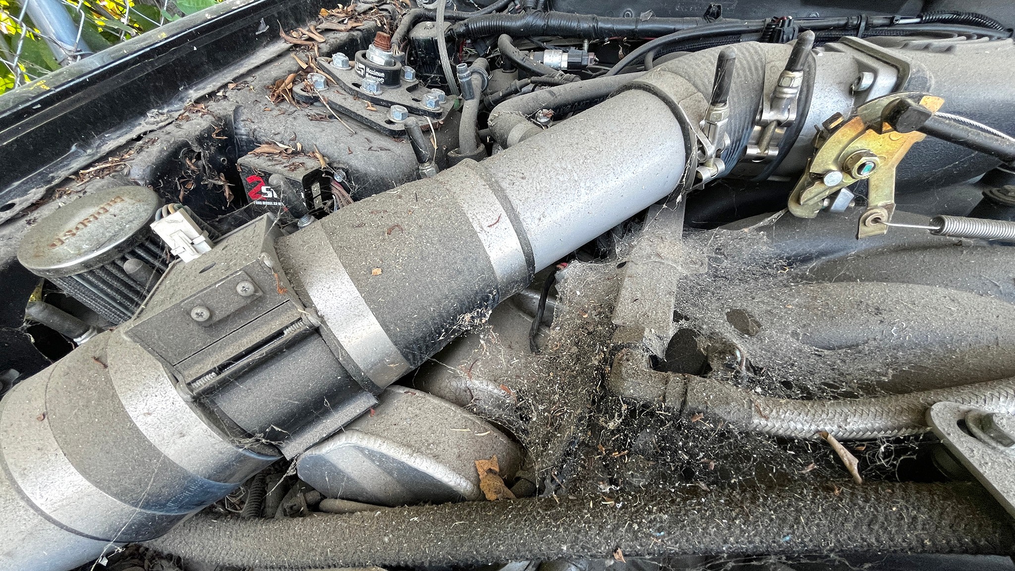 002 2002 ford new edge mustang gt build part 2 cleaning project black beauty dirty engine